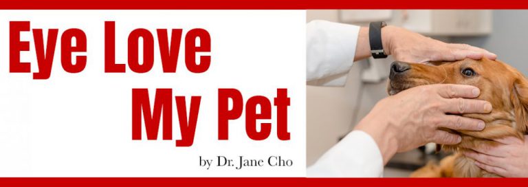 Read more about the article Eye Love My Pet
