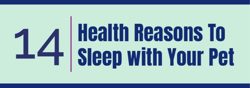 14 | Health Reasons To Sleep with Your Pet