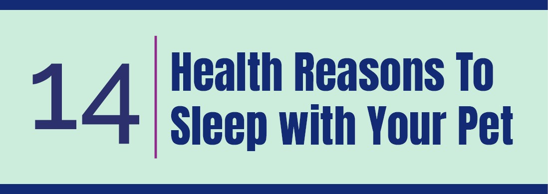 You are currently viewing 14 | Health Reasons To Sleep with Your Pet