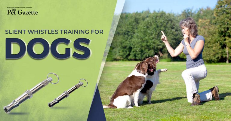Read more about the article Silent Training Whistles