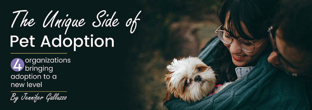 The Unique Side of Pet Adoption