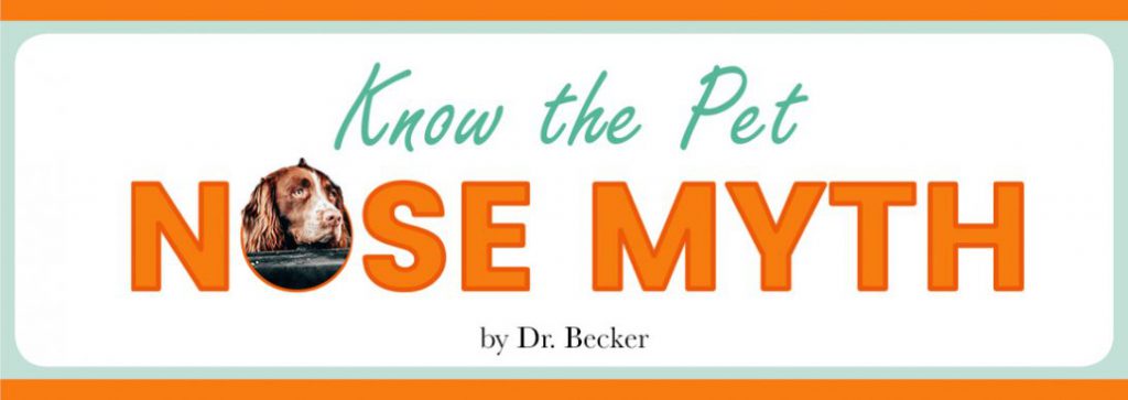 Know the Pet NOSE MYTH
