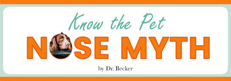 Read more about the article Know the Pet NOSE MYTH