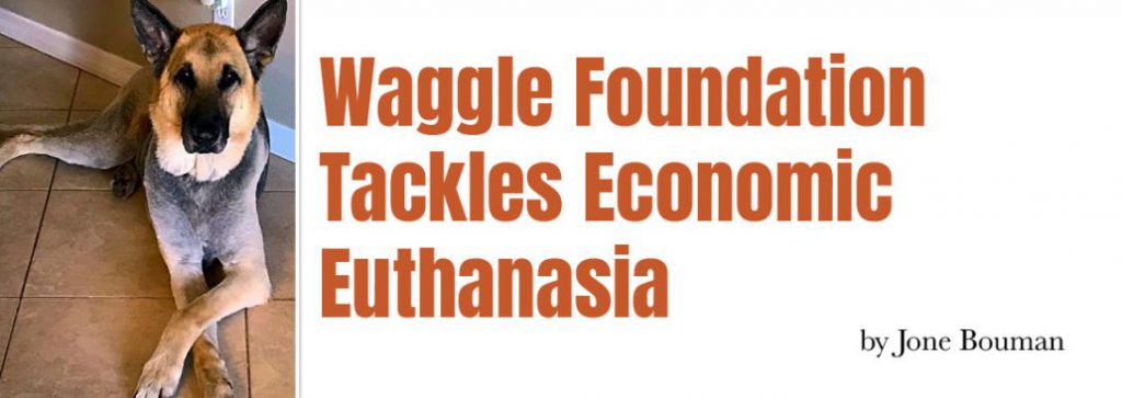 Waggle Foundation Tackles Economic Euthanasia