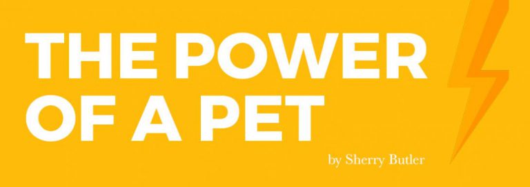 Read more about the article The Power of A Pet