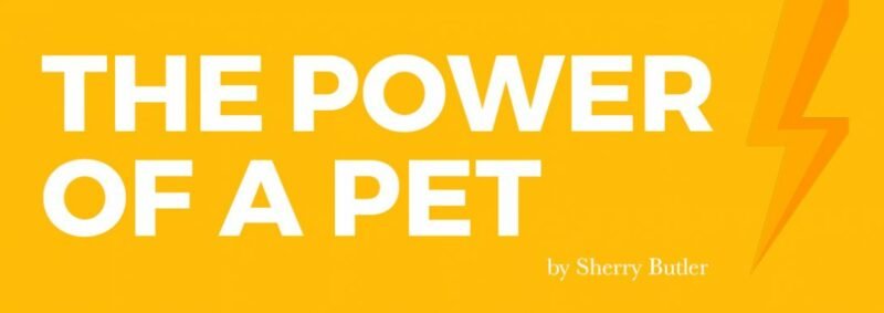 The Power of A Pet