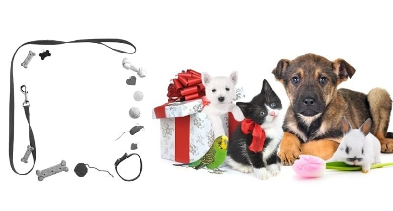 Pet Gifts