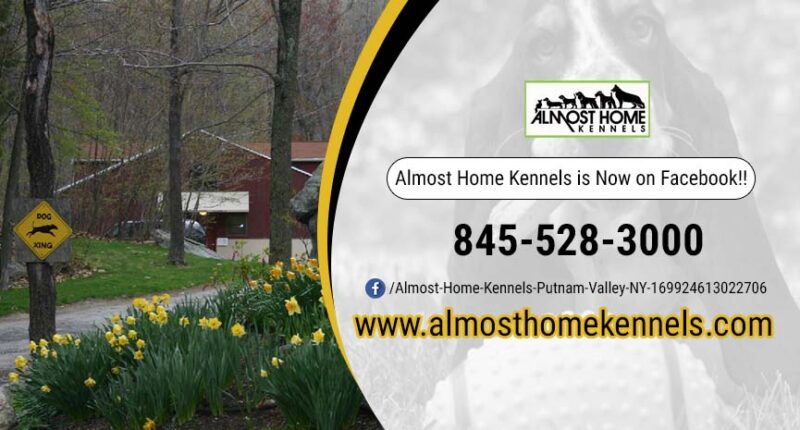 Almost Home Kennels is Now on Facebook!!