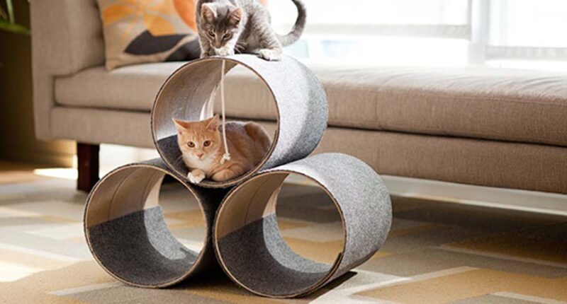 Home Design Ideas For Your Pets