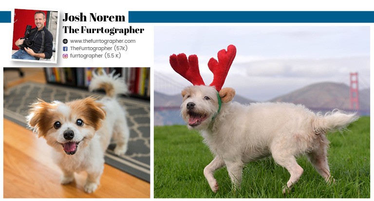 Read more about the article Josh Norem The Furrtographer