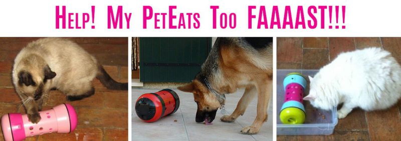 HELP! MY PET EATS TOO FAAAAST!!!