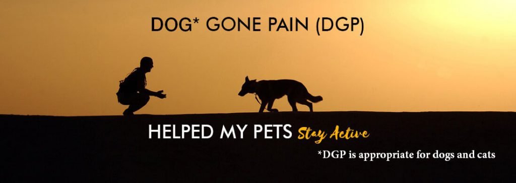 DOG* GONE PAIN (DGP) SUPPLEMENTS HELPED MY PETS Stay Active