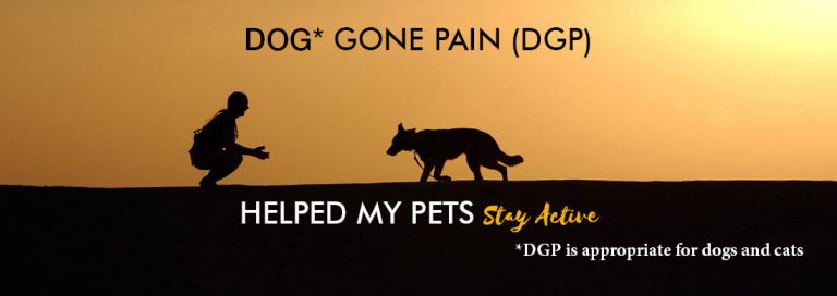 Read more about the article DOG* GONE PAIN (DGP) SUPPLEMENTS HELPED MY PETS Stay Active