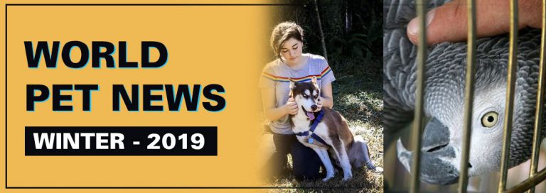 Read more about the article World Pet News – Winter 2019