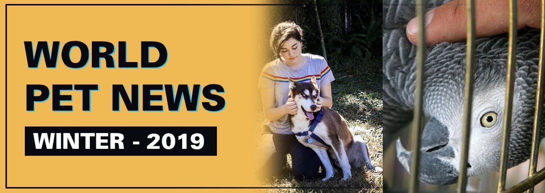 You are currently viewing World Pet News – Winter 2019