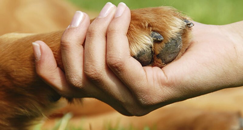 High Five to Going Green!