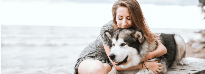 How To Manage Your Mental Health And Your Pets?