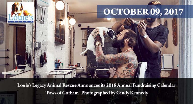 Read more about the article Louie’s Legacy Animal Rescue Announces its 2018 Annual Fundraising Calendar Paws of Gotham Photographed by Candy Kennedy