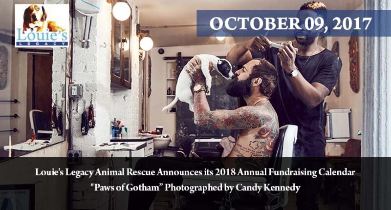 Louie’s Legacy Animal Rescue Announces its 2018 Annual Fundraising Calendar Paws of Gotham Photographed by Candy Kennedy