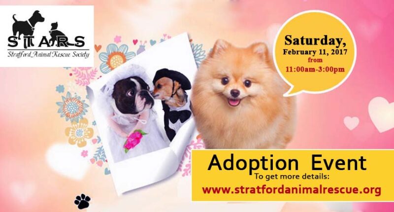 Pet Adoption Event