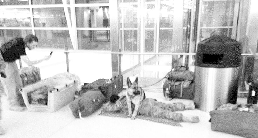 soldier-protected-by-dog